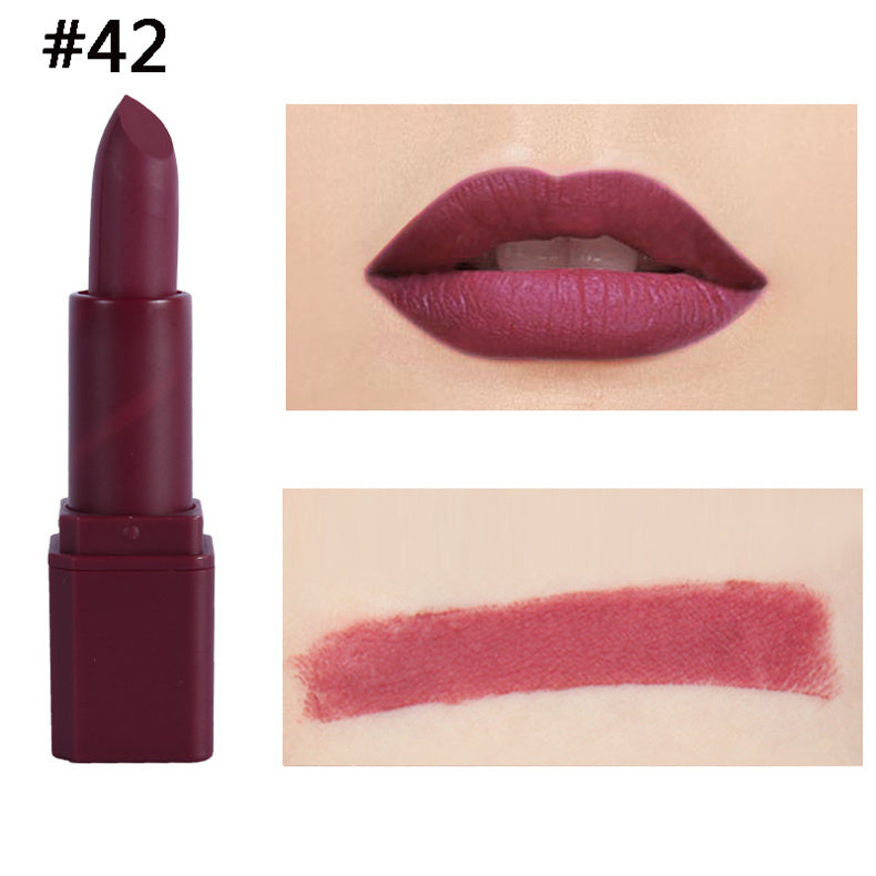 Square Tube Matte Lipstick Matte Square Tube Lip Makeup