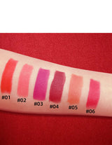 Private Label New 6 Colors Luxury Platinum Waterproof Matte Long Lasting Makeup Lipstick