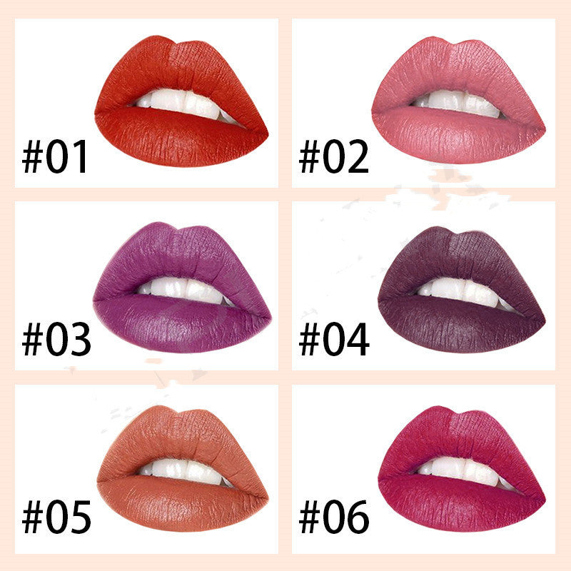 Private Label New 6 Colors Luxury Platinum Waterproof Matte Long Lasting Makeup Lipstick