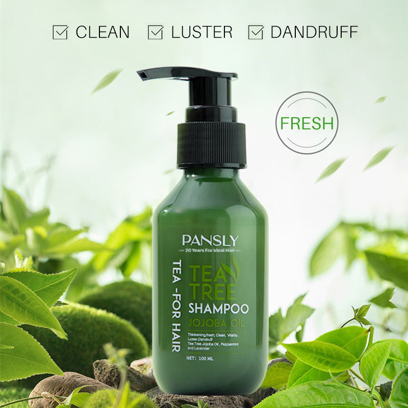 Organic High Quality Tea Tree Shampoo For Hair Loss Reduction