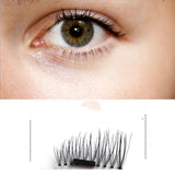 Magnet false eyelashes