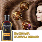 Polygonum multiflorum black hair shampoo