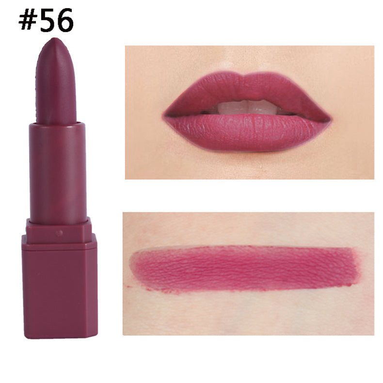 Square Tube Matte Lipstick Matte Square Tube Lip Makeup