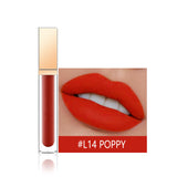 Color Lip Gloss Matte Water Mist Lip Dew No Stain On Cup Long Lasting Lip Lacquer