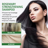 Rosemary Shampoo Can Control Oil Dryness And Rashness