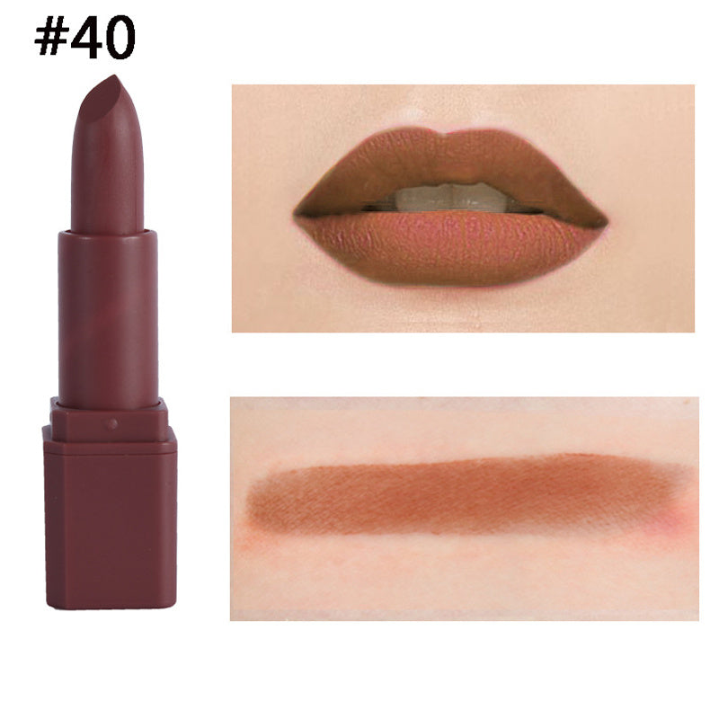 Square Tube Matte Lipstick Matte Square Tube Lip Makeup