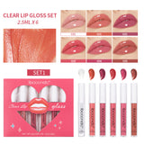 Transparent Lip Gloss Suit Liquid Lipstick