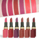 6-pack Matte Finish Lipstick Lasting