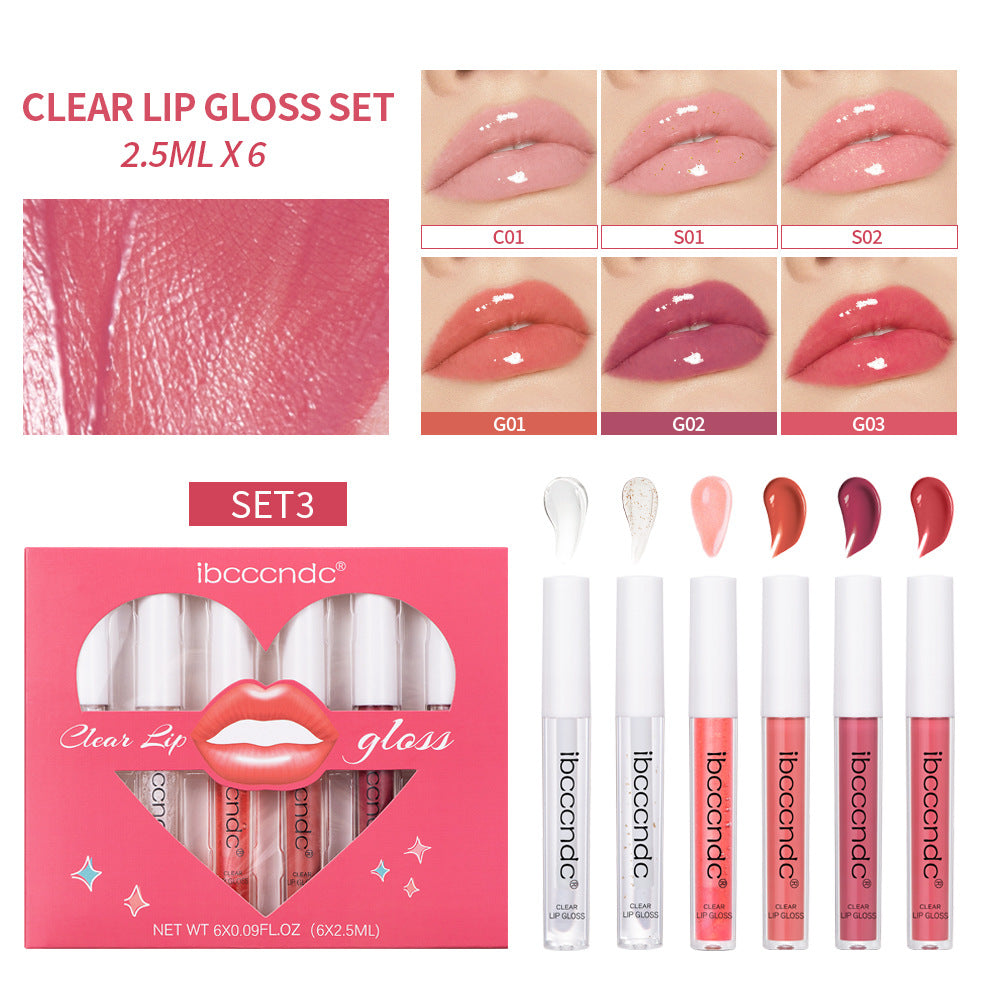 Transparent Lip Gloss Suit Liquid Lipstick