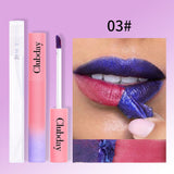 Beauty Matte Finish Longlasting Lip Gloss