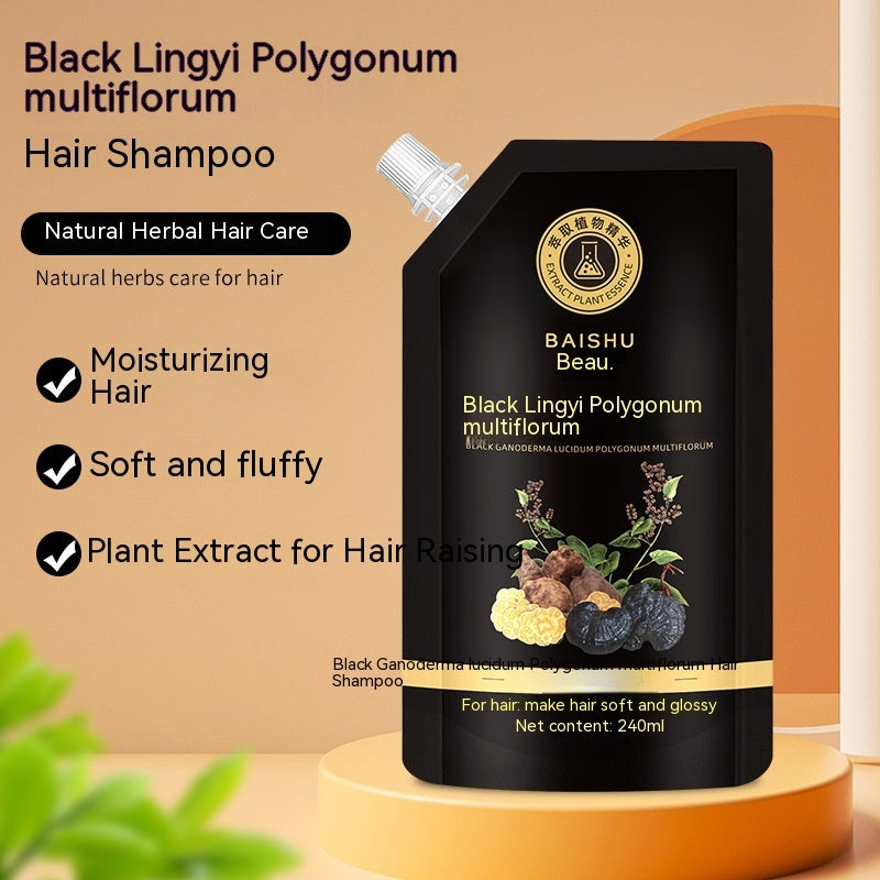 Oil Control Hair Care Shampoo